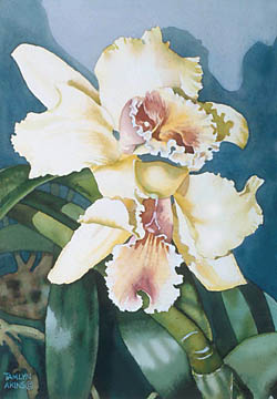 Yellow Orchids #5