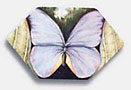 <strong>Small Butterfly Pin</strong>