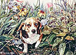 mutley